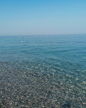 Monovano relax