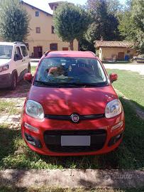 FIAT PANDA 1.3 Multijet 95 CV Lounge 
