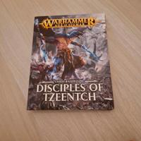 Warhammer Disciples Of Tzeentch + Warscroll cards