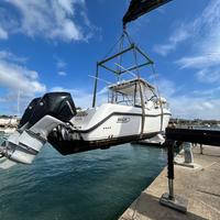 Boston whaler 305 conquest