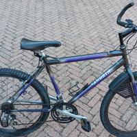 mountain bike uomo