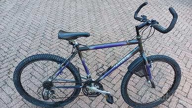 mountain bike uomo