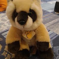 Peluce Orsetto Lavatore