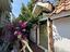 Immagine 22