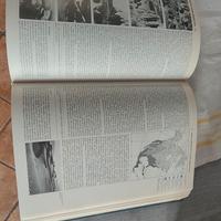 enciclopedia garzanti