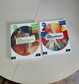 che MERAVIGLIA!  Arte ISBN  9788829860081