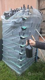 bottiglie vino