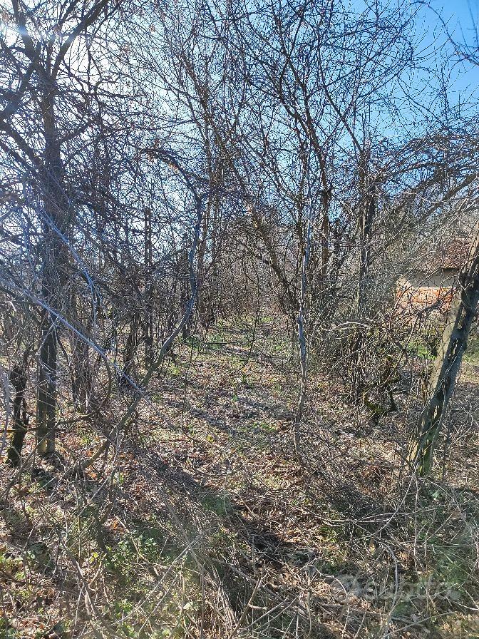 Rustico con terreno - Vista 4