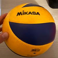 Palone volley