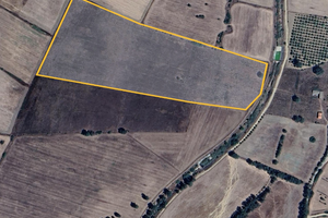Terreno agricolo a Siliqua