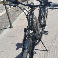 Pedalata assistita