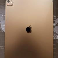 iPad Pro M4 1Tb nero siderale