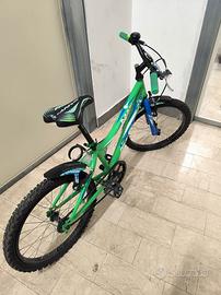 bicicletta