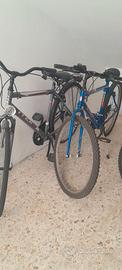 Biciclett3