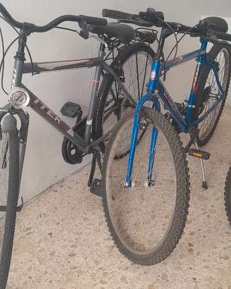 Biciclett3
