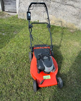 Rasaerba Briggs & Stratton