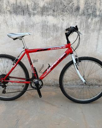 Bicicletta
