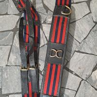 fascione e redini lunghe