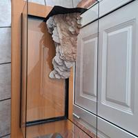 TARTARUGHIERA IN VETRO