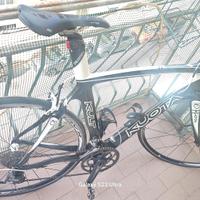 kuota kult