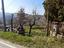 Immagine 20