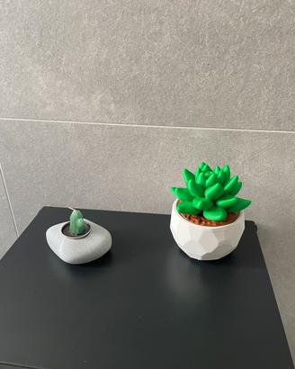 Pianta grassa finta