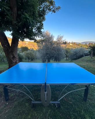Tavolo da ping pong