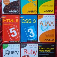 Lotto Libri Informatica Apogeo pocket