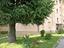 Immagine 13
