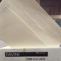 15 buste Favini Shiro Alga carta avorio 110x220