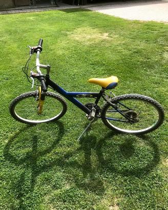 Bicicletta