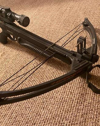 Barnett wildcat