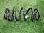 Immagine 13