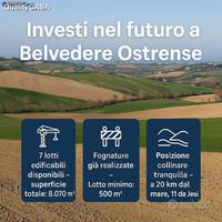 Terreno Edificabile a Belvedere Ostrense