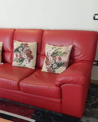 Divani in pelle