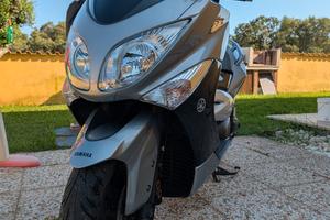 Tmax 500 2010