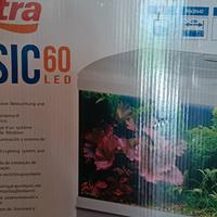 acquario