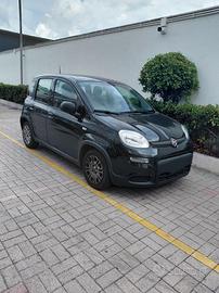 Panda Hybrid 1.0 FireFly S&S