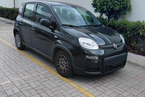 Panda Hybrid 1.0 FireFly S&S