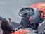 Immagine 28