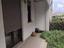 Immagine 13