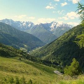 Casa nel verde: natura relax o investimento per BB