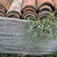 Tegole coppi antiche