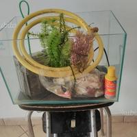 Acquario tetra completo di accessori