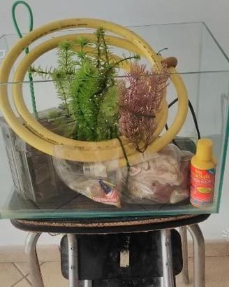 Acquario tetra completo di accessori