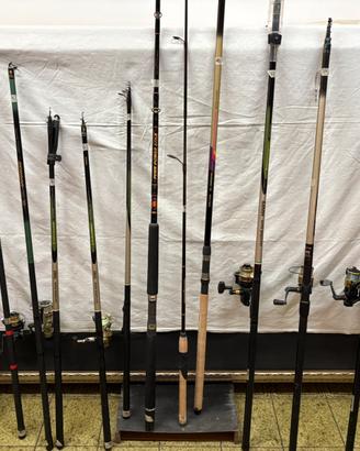 Canne da pesca daiwa