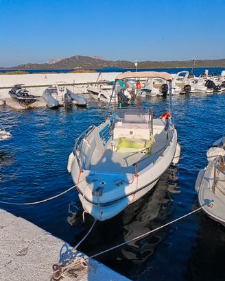 barca a motore 