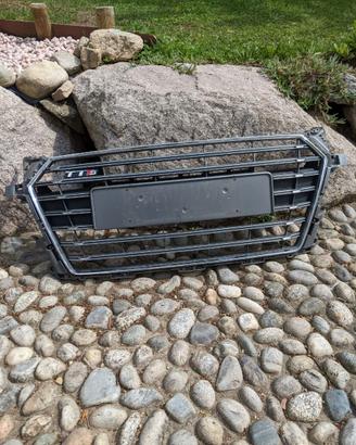 Griglia anteriore AUDI TTS 2016