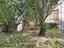 Immagine 24