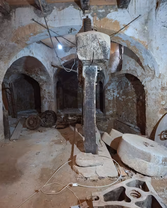 Magazzino con Antico frantoio